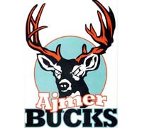 ajmer