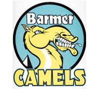 barmer